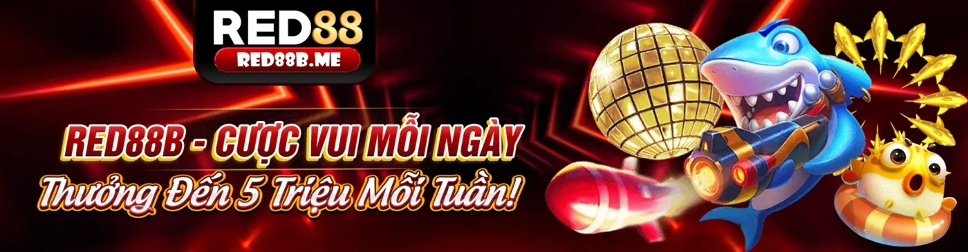 Đá gà trực tuyến 88t win - Trận đấu kịch tính