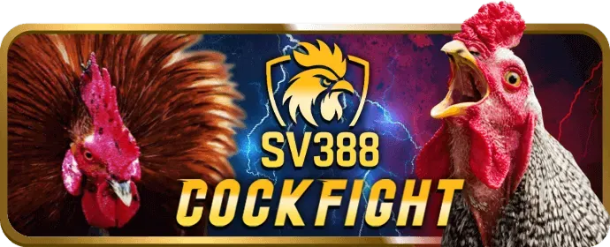 Thưởng Nạp Tiền Hàng Ngày 88t win